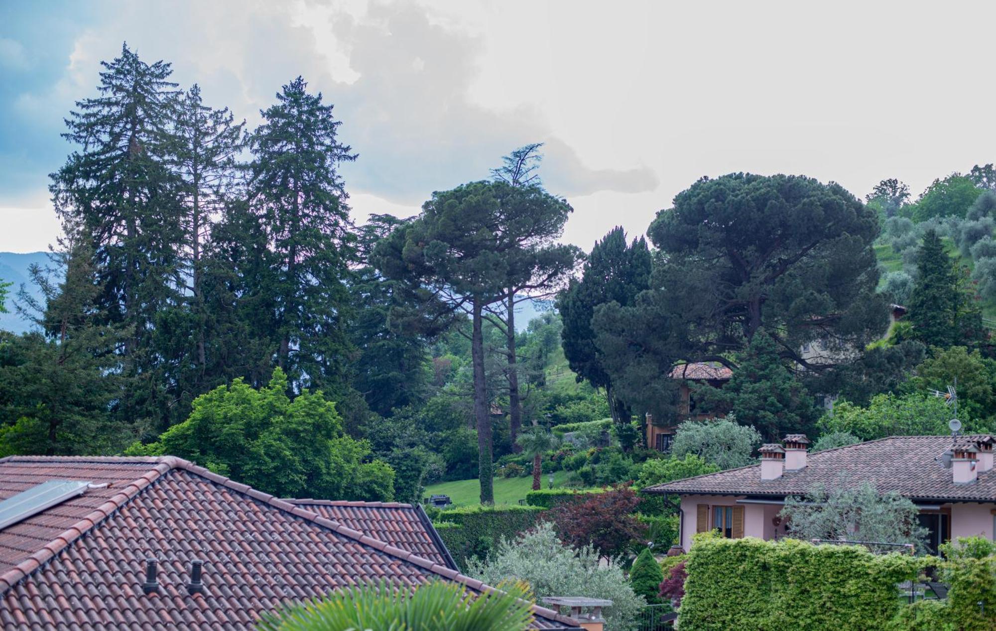 Serene Garden Getaway Cadenabbia Kültér fotó